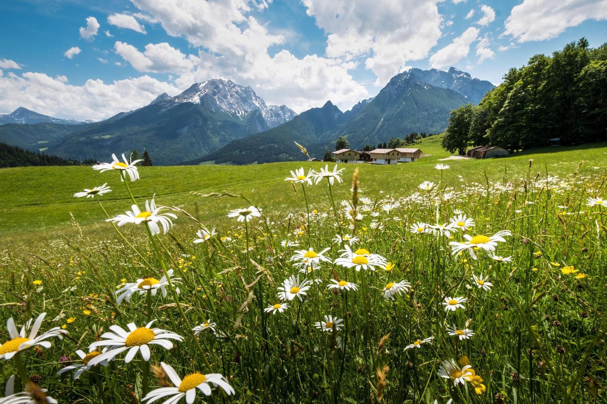 Alpenpension Ettlerlehen Ramsau bei Berchtesgaden Exterior foto